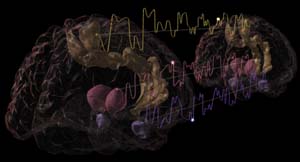 Mathematical and Statistical Modeling of Multidimensional Brain Data