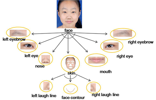 PortraitParsing