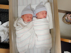 DSC01043.JPG