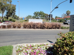 DSC01056.JPG