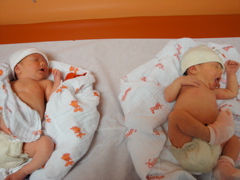 DSC01079.JPG