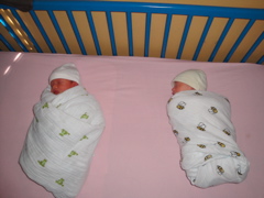 DSC01080.JPG
