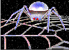 WEB