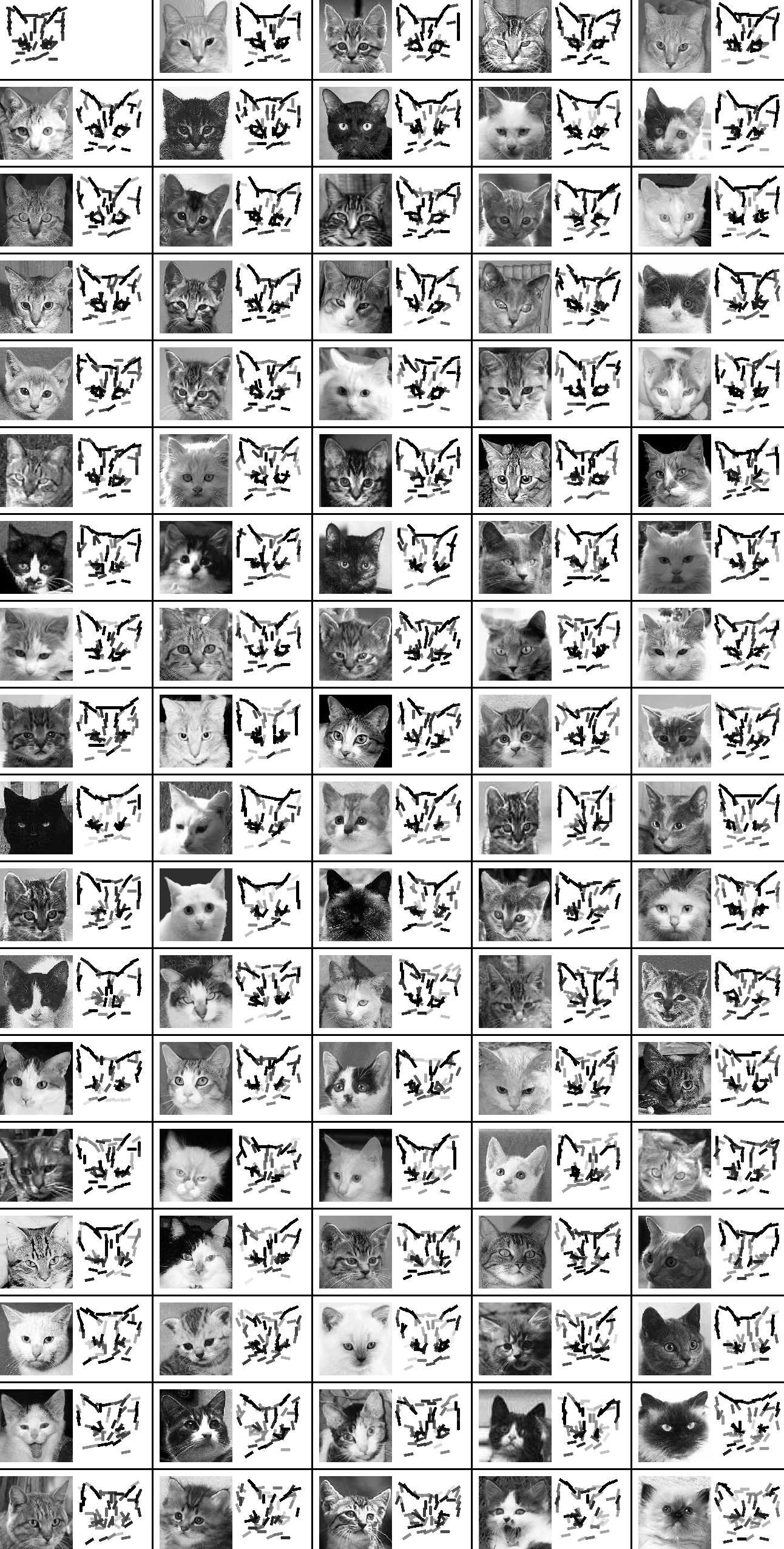 active basis template for cat head