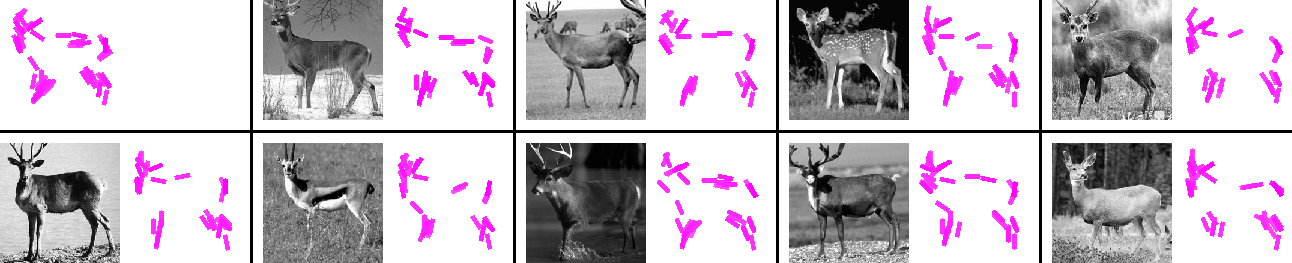adaboost template for deer