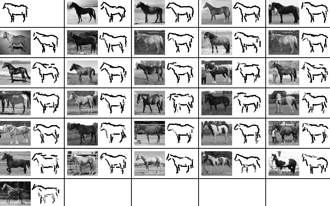active basis template for horse